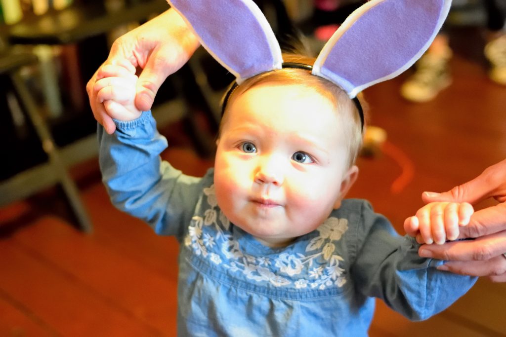 Peter Rabbit Theme Party | Peter Rabbit Theme First Birthday | Peter Rabbit Baby Shower | Boys Baby Shower Ideas | Baby Shower Themes | First Birthday Theme | Peter Rabbit First Birthday 