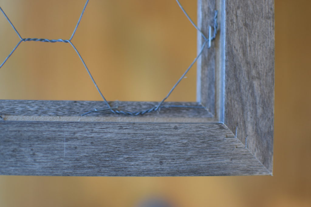 Peter Rabbit Photo Wall
