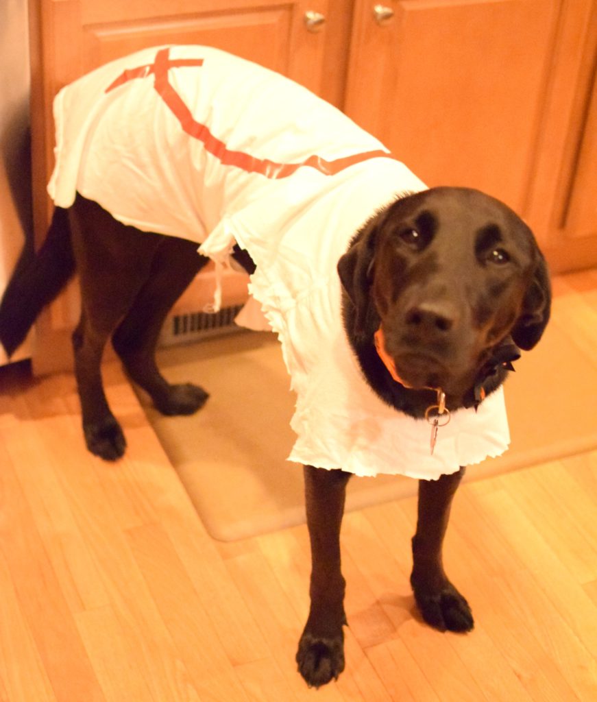 Halloween Party | Halloween decorations | classy halloween | kid friendly hallowee decorations | Classic Halloween decorations | Black white and gold halloween decorations | halloween decoration inspiration | halloween costume contest |