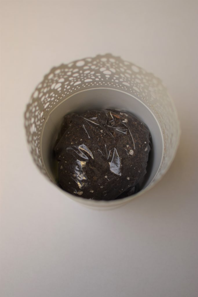 Pot with soil and seeds for fun planting easter basket.